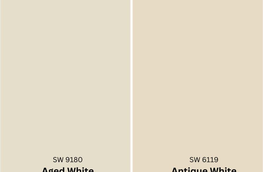 Aged White vs Antique White