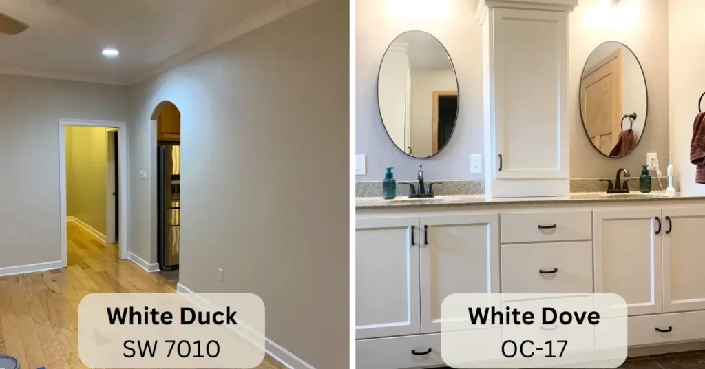 Comparison Between White Duck vs White Dove