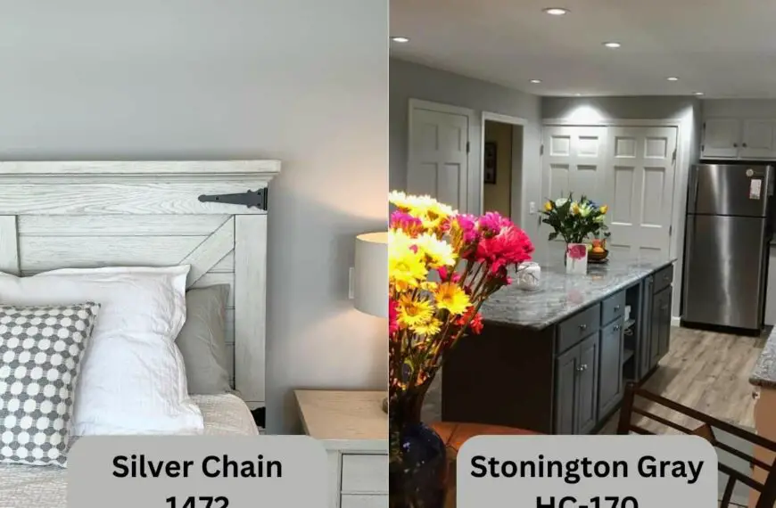 Silver Chain vs Stonington Gray