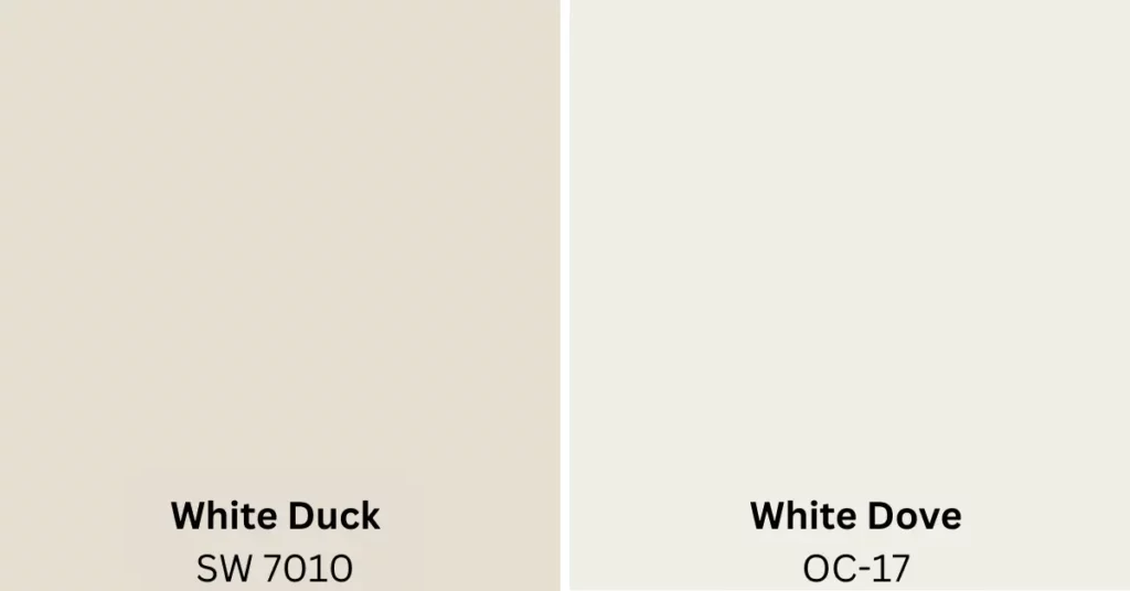White Duck Vs White Dove