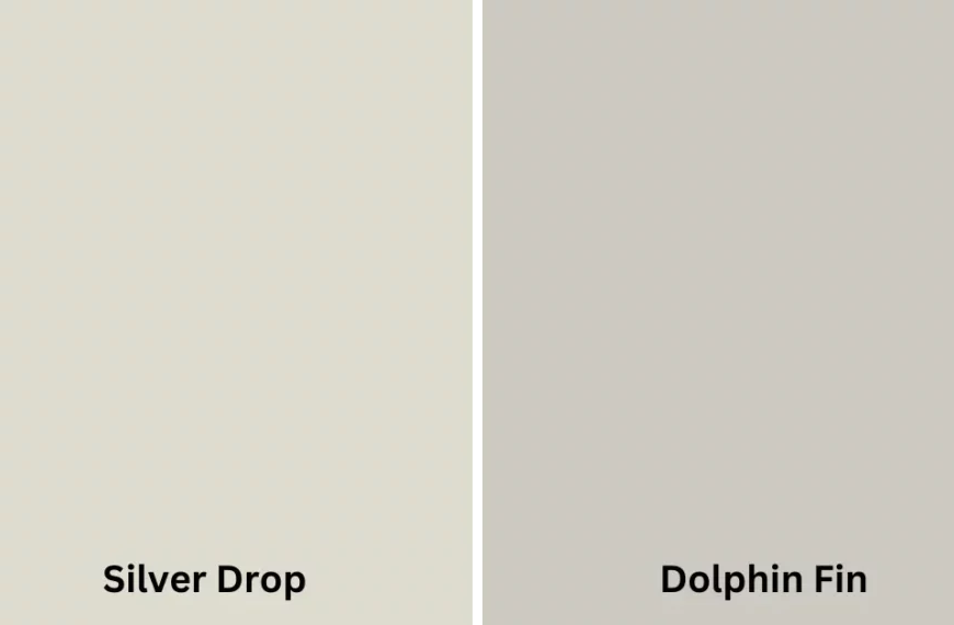 Behr silver drop vs Dolphin fin